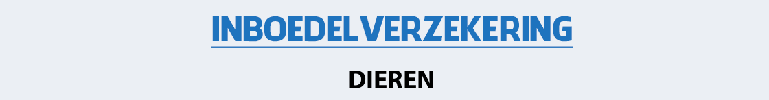 inboedelverzekering-dieren